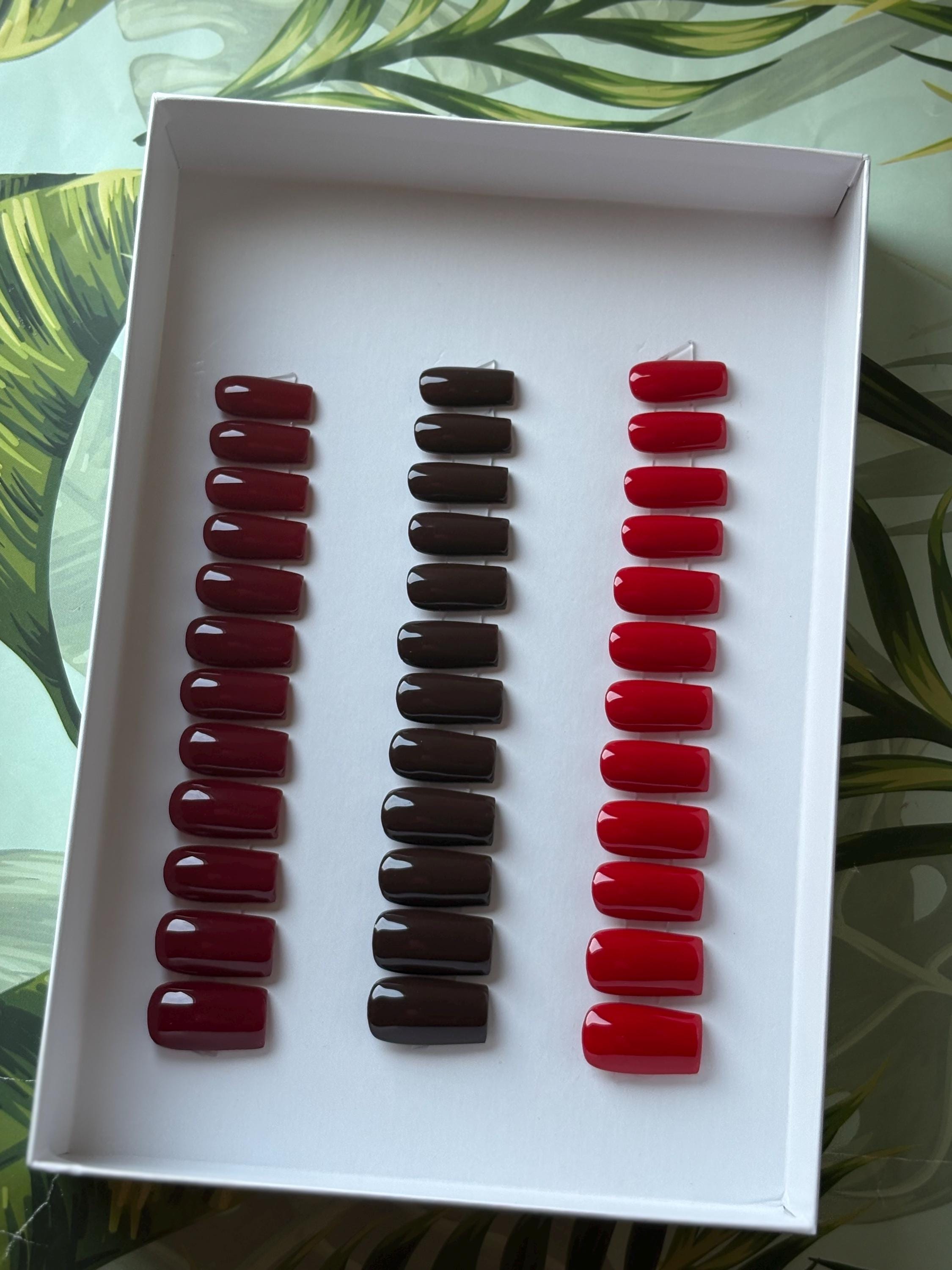Wine, Cocoa & Cherry